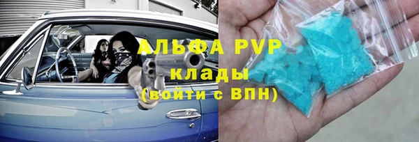 дмт Бородино