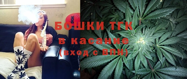 дурь Бронницы
