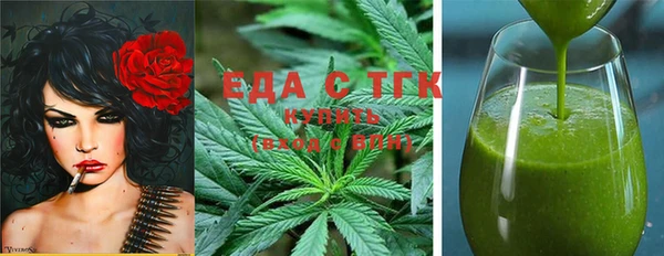 дмт Бородино