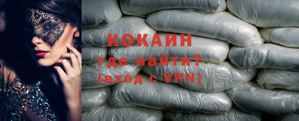 дмт Бородино